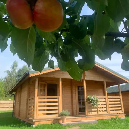 펜션 Pod Dzika Jablonia
